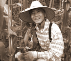 写真＝自家菜園でトウモロコシを収穫する筆者＝2008年8月、米国メーン州・写真をクリックすると新聞切抜き記事へ